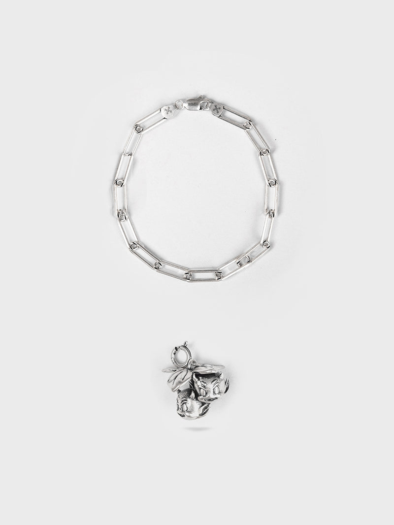 Bracelet & Charm Bundle
