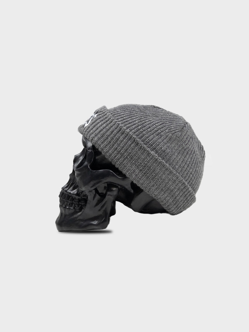 Squealer Rib Beanie in Grey